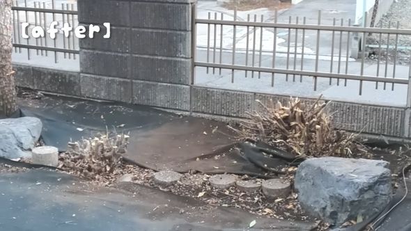 地面が見えるようになった作業後の庭