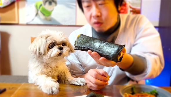 酢飯でパスタを巻いたら愛犬にこんな顔された