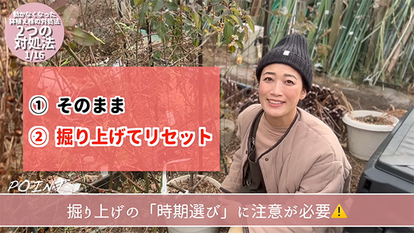 掘り上げてリセット赤文字