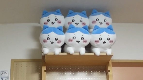 30代 夫妻 ちいかわ 専用棚 DIY 収納棚 ぬいぐるみ