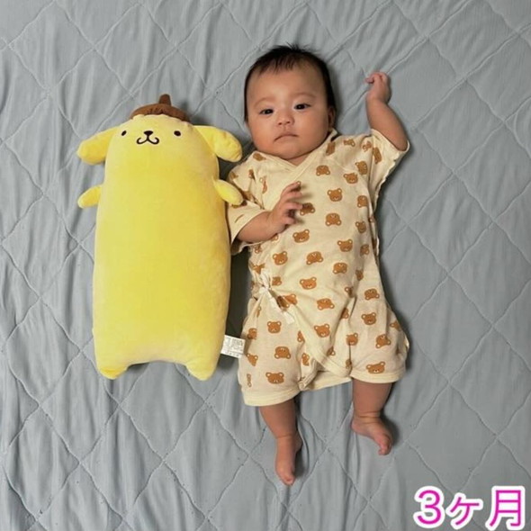 ポムポムプリンのぬいぐるみと赤ちゃんの写真