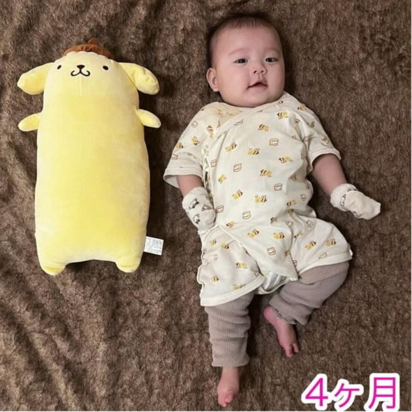 ポムポムプリンのぬいぐるみと赤ちゃんの写真