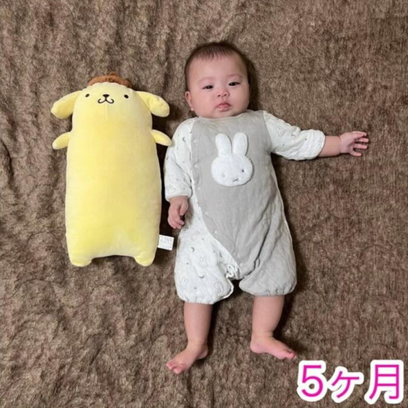 ポムポムプリンのぬいぐるみと赤ちゃんの写真