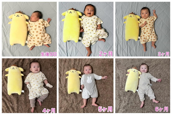 ポムポムプリンのぬいぐるみと赤ちゃんの写真