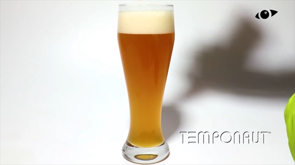 小麦ビールを放置して283日放置したら？