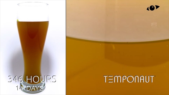 小麦ビールを放置して283日放置したら？