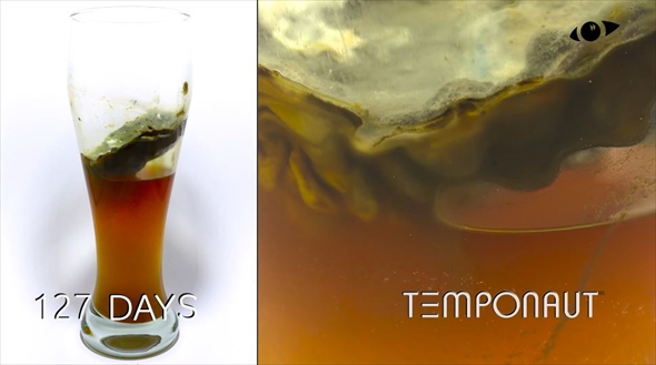 小麦ビールを放置して283日放置したら？