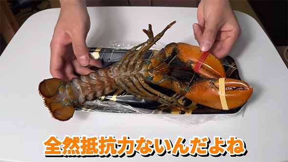 全然抵抗力ない