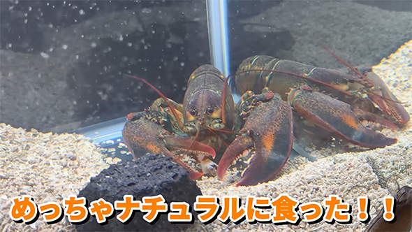 めっちゃナチュラルに