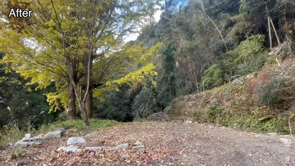 荒れ果てた 廃墟 片付け 田舎 移住 納屋 母屋 変化 2年間 ビフォーアフター 高知