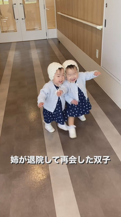 一卵性双生児 1歳 双子 退院 姉妹 再会