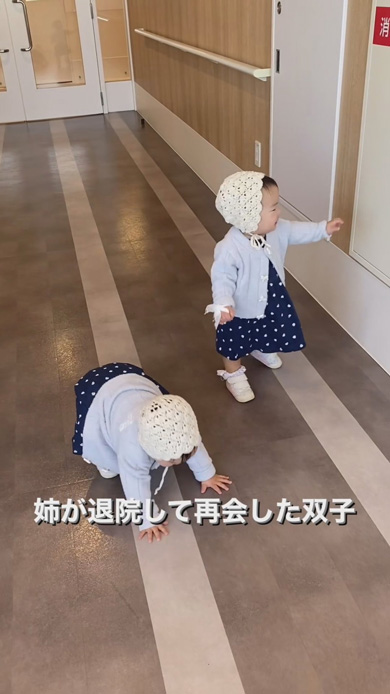一卵性双生児 1歳 双子 退院 姉妹 再会