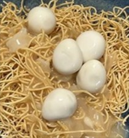 鳥の巣みたいな食事