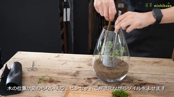 ハクチョウゲの苗木を植え込み土を整える