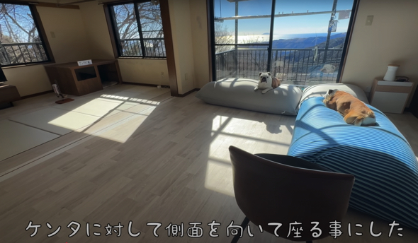 お風呂がキッカケで再び心を閉ざした保護犬