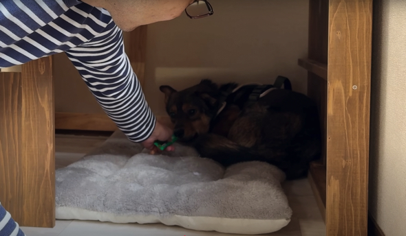 おやつで仲良くなる「ちゅ〜る大作戦！」も実行