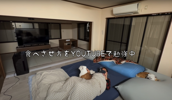 YouTubeで食べさせ方を勉強しつつ、保護犬におやつを与える日々