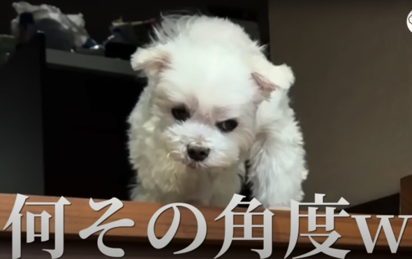 かなりのご立腹状態