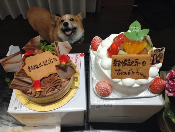 2個並んだホールケーキ