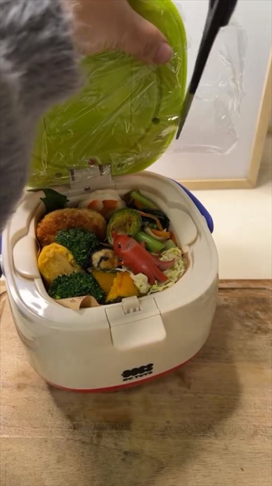 娘にふざけた弁当作った