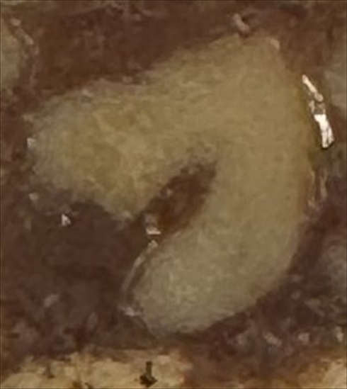 断面が人の名前に見えるクルミッ子