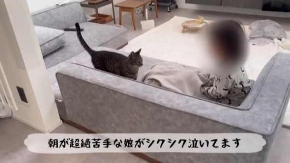 朝が苦手で泣いている娘