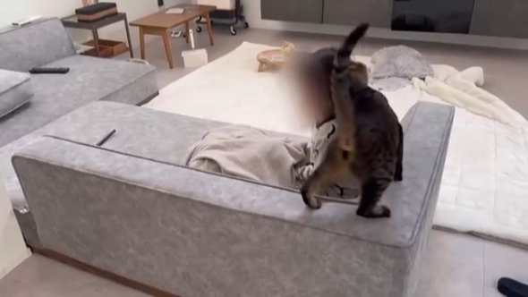 朝が苦手で泣いている娘さんに寄り添うももまる