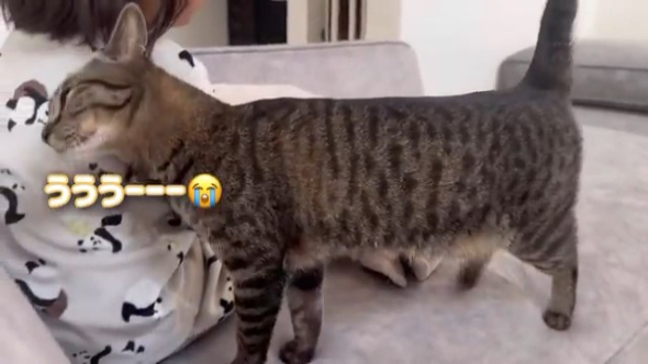 大声で泣く娘さんに寄り添う猫