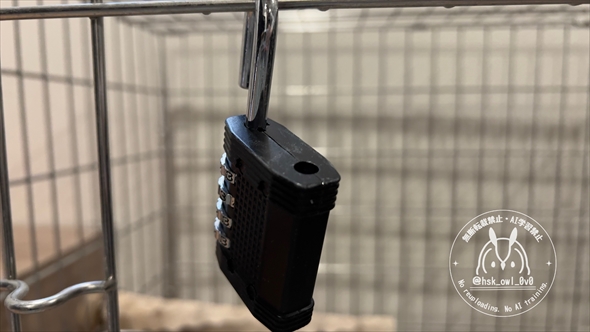 南京錠を開けてケージから脱獄した天才オウム