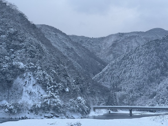 雪が積もった山の写真