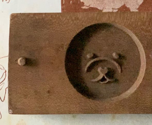 人懐っこそうな表情！