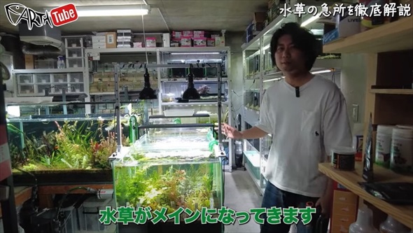 「その水換え絶対やめて」プロが教える意外なNG方法