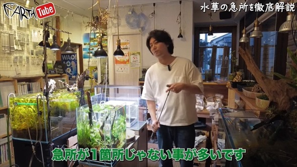 「その水換え絶対やめて」プロが教える意外なNG方法