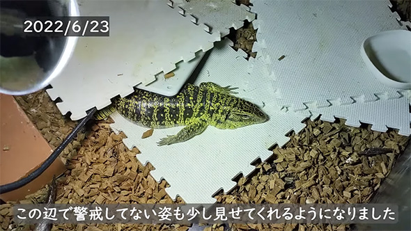 この辺で警戒していない