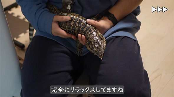 完全にリラックス