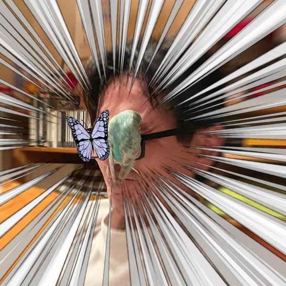 メガネに留まるインコさん