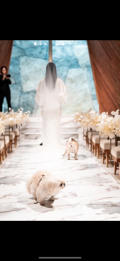 飼い主さんの結婚式でおきたハプニング