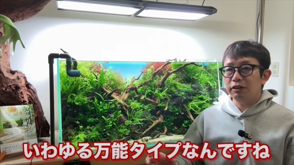 ホムセンで売ってた貝を水槽に入れたらすごいことに