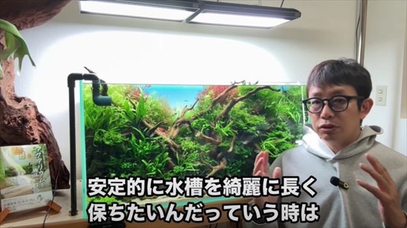 ホムセンで売ってた貝を水槽に入れたらすごいことに