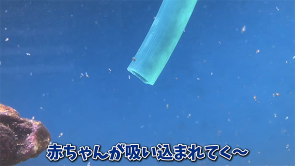 赤ちゃんが吸い込まれて