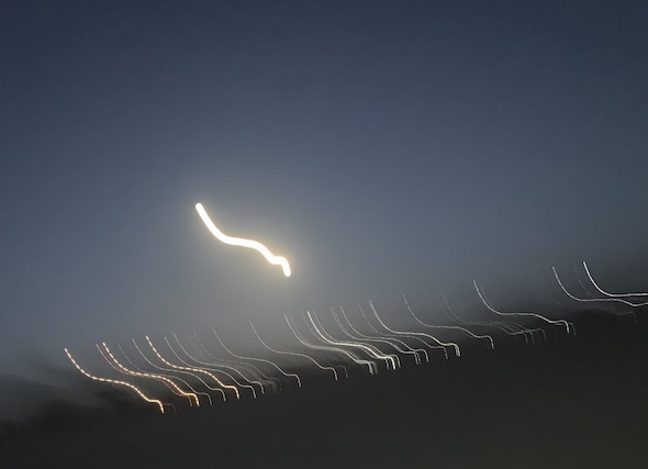 踊るアニサキスみたいな月