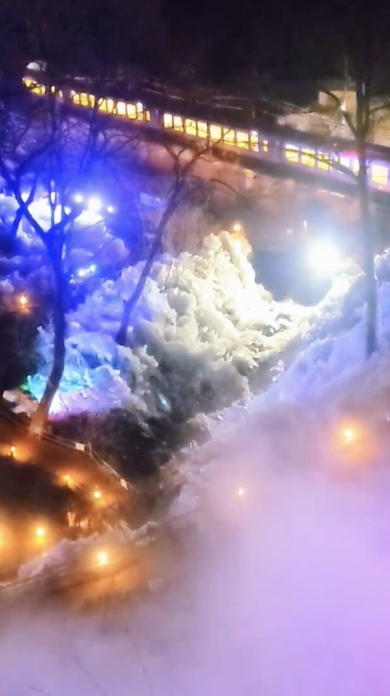 氷柱と西武秩父線