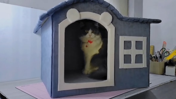 段ボールで猫ハウスDIY
