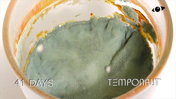 コップに注いだオレンジジュースを73日間放置するタイムラプス