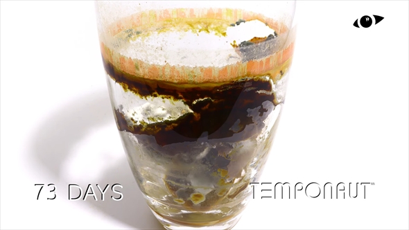 コップに注いだオレンジジュースを73日間放置するタイムラプス