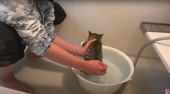 足元から徐々に水に慣らしていきます