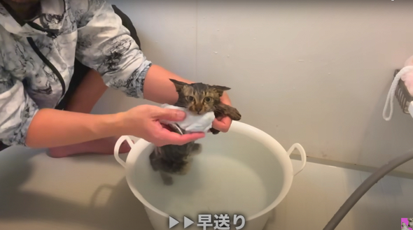 すすぐ作業もスムーズに行えました