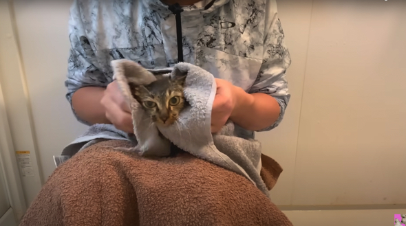 初シャンプーでサッパリしたね