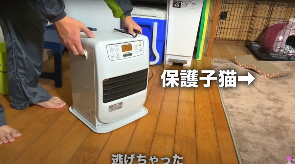 過酷な野良生活を忘れてもらうためファンヒーターを用意