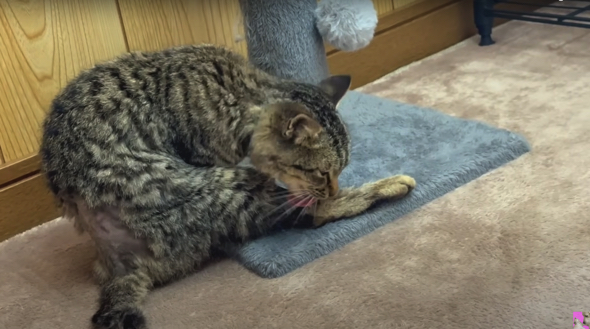 暖かい風が流れてきてリラックスモード